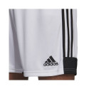 Adidas Tastigo 19 Shorts M DP3247 shorts (S)