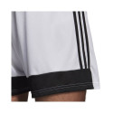 Adidas Tastigo 19 Shorts M DP3247 shorts (S)