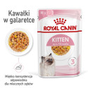 Royal Canin FHN Kitten Instinctive tarretises - märgtoit kassipoegadele - 12x85g
