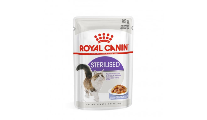 ROYAL CANIN FHN Sterilised kastmes märgtoit täiskasvanud kassidele 12x85g