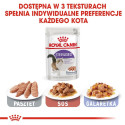ROYAL CANIN FHN Sterilised kastmes - märgtoit täiskasvanud kassidele - 12x85g