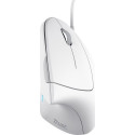 Ergonoomiline hiir valge