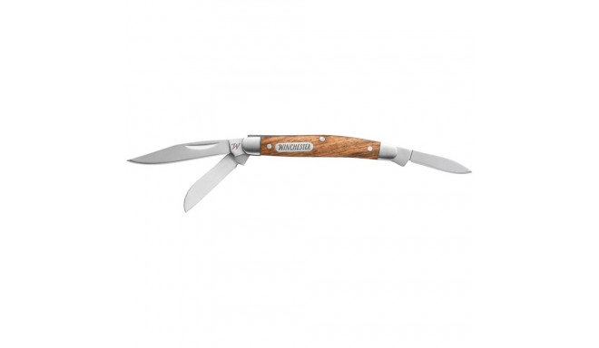 Winchester Stagecoach taskunuga, blisterpakend