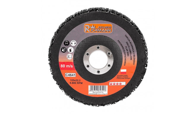 Cleaning disc "Richmann" 125mm