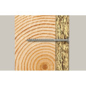 Fischer kruvikeerajad FPF II CTF 6.0x80 100 tk.