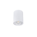 CEILING LIGHT POINT FITTING BORD DLP-50W