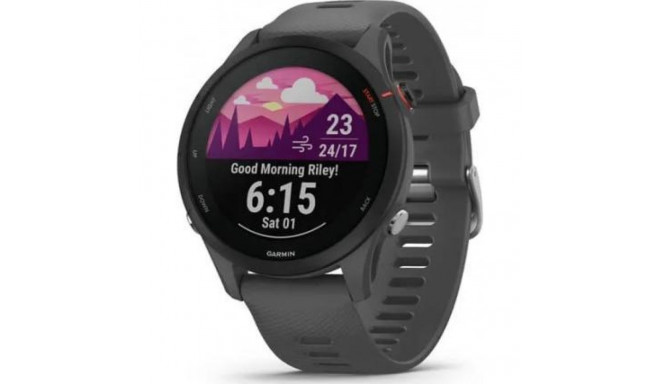 Garmin Forerunner 255 Slate Grey 010-02641-10