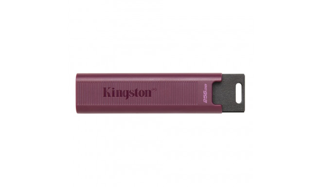Kingston DataTraveler MAX 256GB USB 3.2 USB-A mälupulk