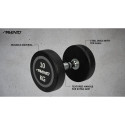 Dumbbell AVENTO 42DP 10kg