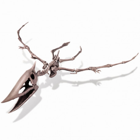 4M meisterdamiskomplekt "kaeva välja pteranodoni skelett"