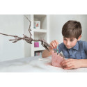 4M craft kit "Dig a Pteranodon skeleton"