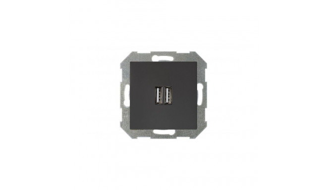 IUK-2-01.R/ON59 USB laadija