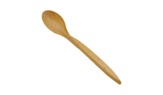 Soup spoon reusable 18cm 100 pcs