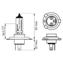 Bosch ECO H4 12V 60/55W Plus 100