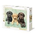 Clementoni 1000 EL. HQ Three Labs 39279