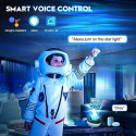 Elight J1 Aurora projector with atmosphere sounds & Bluetooth speaker Smart Wi-Fi Bluetooth App cont