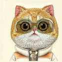 Nimmy case iPhone 15 Pro Max 6.7" khaki Cool&Cute 2.0 Cat Nimmy case iPhone 15 Pro Max 6.7" khaki Cool&Cute 2.0 Cat