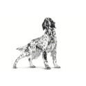 ROYAL CANIN VHN Gastrointestinal Pasteet - märgtoit koertele - 200g