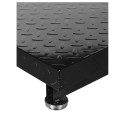 Platform Scale - Wt-053 300kg Digital Scale