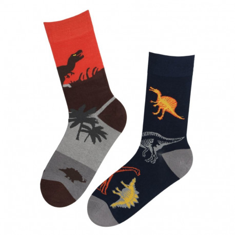 SOKISAHTEL ANTHONY dinosaurustega puuvillased sokid 446