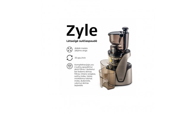 Slow juicer ZY016SSJ