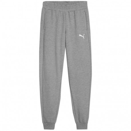 Puma laste püksid Team Goal 658601 33 152cm, hall