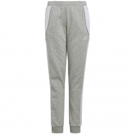 adidas laste dressipüksid Tiro 24 Sweat IS1009 152cm, hall