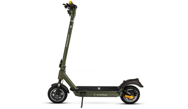 Electric Scooter Smartgyro 500 W