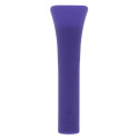 Clitoral Stimulator Evolved Purple