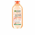 Näo meigi eemaldaja Garnier SKINACTIVE 400 ml