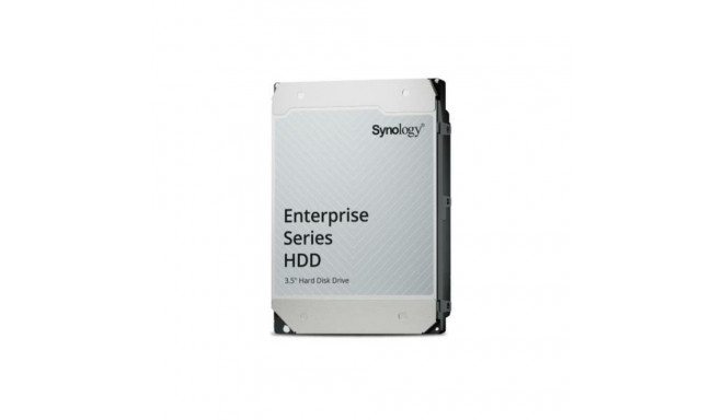 Hard Drive Synology HAS5310-20T