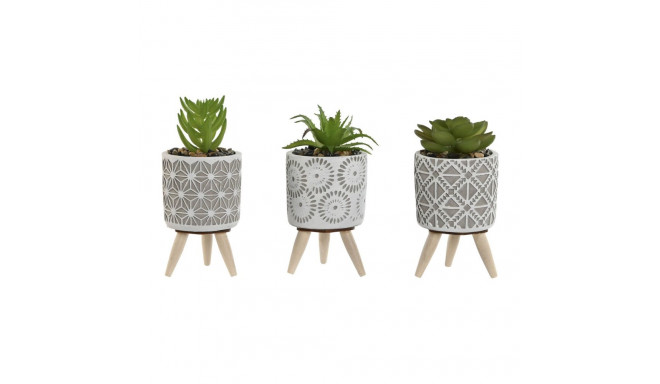 Decorative Plant Home ESPRIT Polyethylene Cement 6,5 x 6,5 x 11 cm (3 Units)