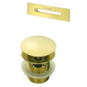 Bathtub accessories set - stopper and overflow