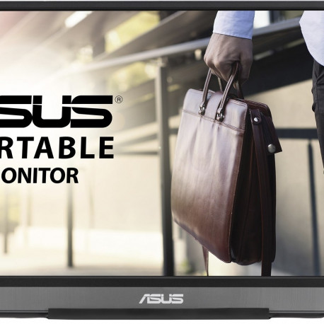 ASUS monitor ZenScreen MB16ACE 39.6cm (15.6") 1920x1080 Full HD LED, hall