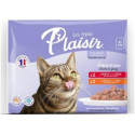 Plaisir Chunks pouch multipack 4x85g