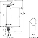 Washbasin faucet Hansgrohe Vivenis 75042000