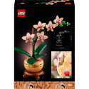 LEGO Botanicals Väike orhidee