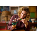 LEGO Botanicals Väike orhidee