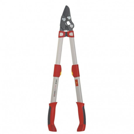 RR 900 T Power Cut Pruning Shears