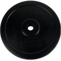 Tunturi Rubber Plate 10kg, Single