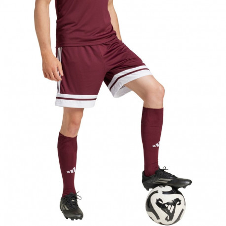 adidas meeste lühikesed püksid Squadra 25 JC8677 M, burgundia