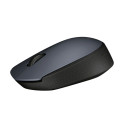 Wireless mouse M170