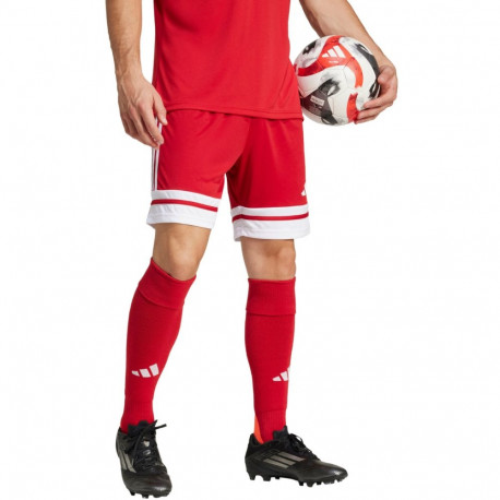 Adidas meeste lühikesed püksid Squadra 25 JE7745 XL, punane