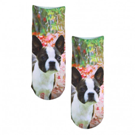 SOKISAHTEL PRINT bulldogi pildiga prinditud sokid lastele 438, 439, 443