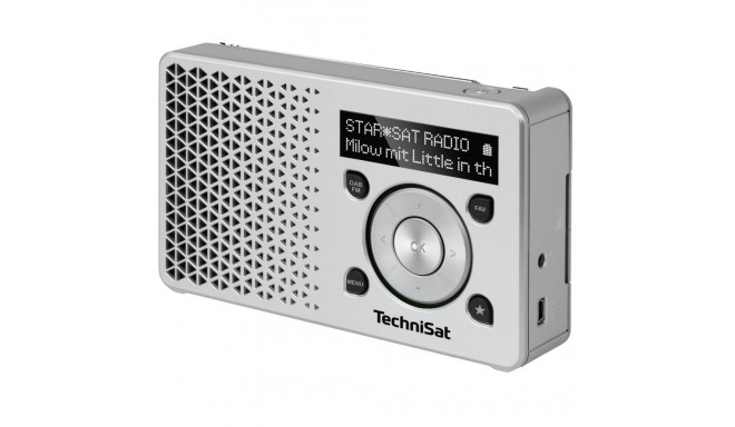 TechniSat Digitradio 1 DAB+ Radio silver