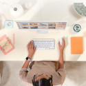 "Logitech Lift for Mac Vertical mouse ergonomic optical 6 buttons wireless Bluetooth Bolt USB receiv