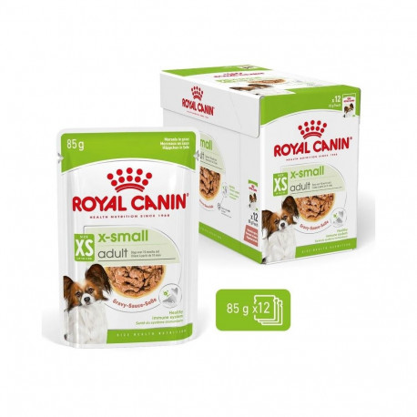 ROYAL CANIN Adult xs-small - wet dog food - 12 x 85g