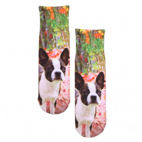 SOKISAHTEL PRINT bulldogi pildiga prinditud sokid 444