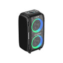Wireless Bluetooth Speaker W-KING T9 Pro 120W + 2 microphones (black)