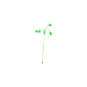 Dingo CAT ROD "OGI" GREEN